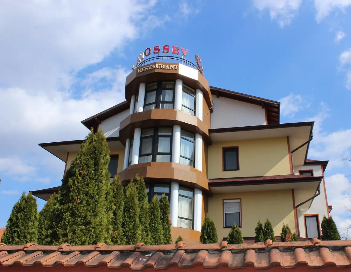 Villa Hotel Kiosev Sofia