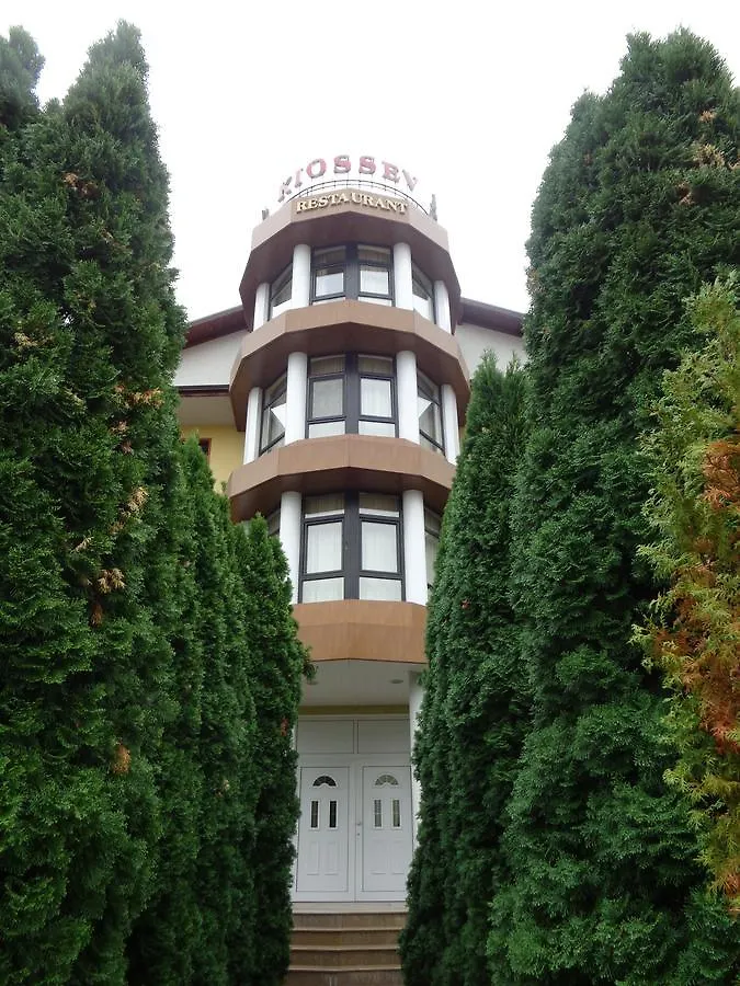 Villa Hotel Kiosev Sofia 3*,